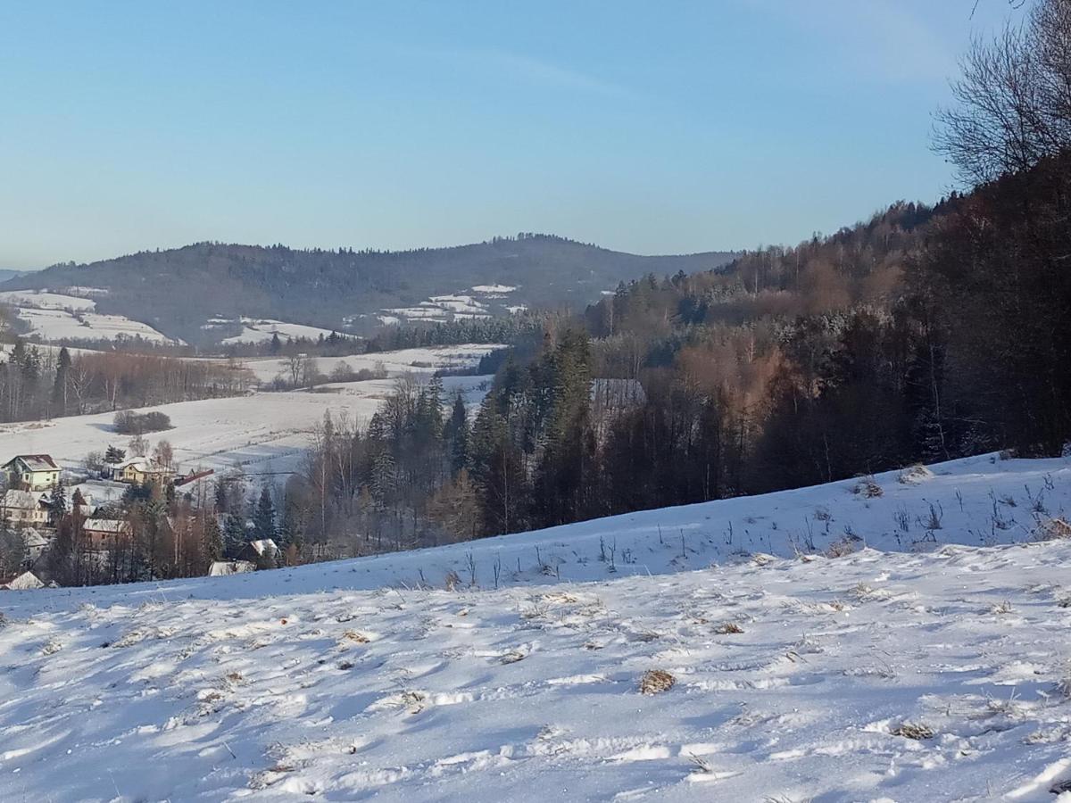 Вилла Dom W Gorach Przy Szlaku Bystra  Экстерьер фото